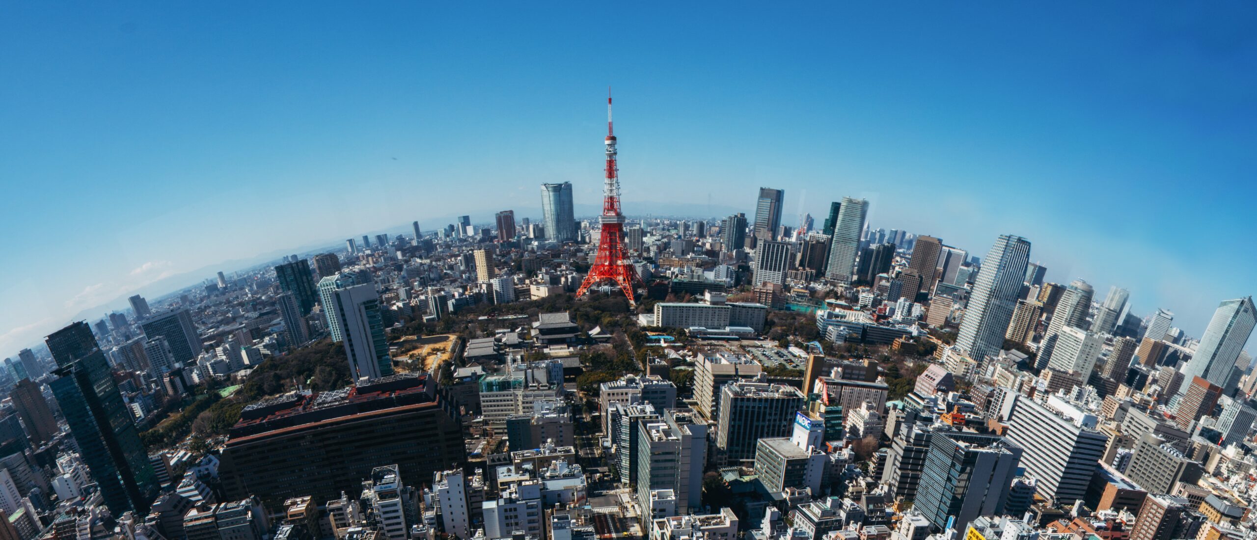 港区の街並みと東京タワー